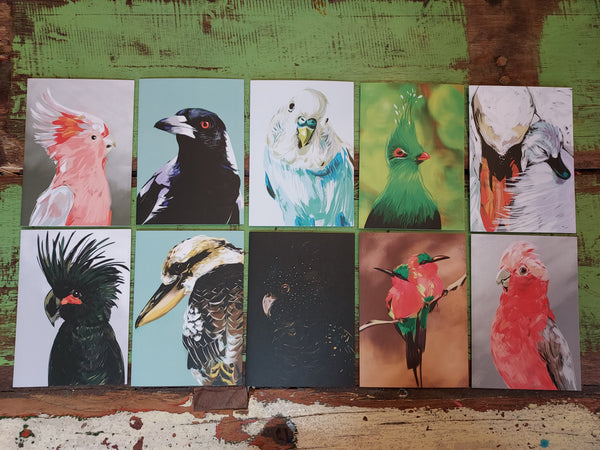Australian Birds Greeting Cards- Box Set of 10